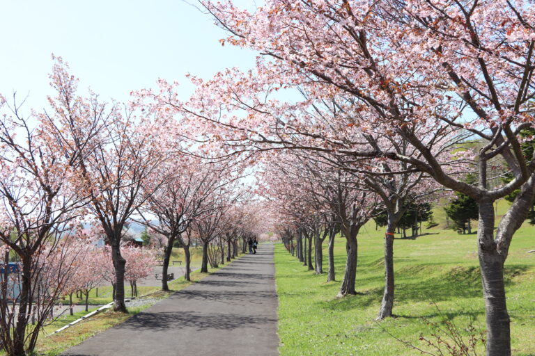 【新規開校】地域密着の学習塾「枝幸町公設民営塾」がスタートします！